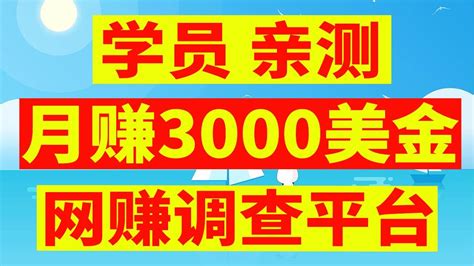 网上 赚钱项目—国外视频加工搬运到国内赚钱揭秘（中国大陆网赚） - YouTube