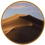 Full Split Screen Tutorial 的图像结果