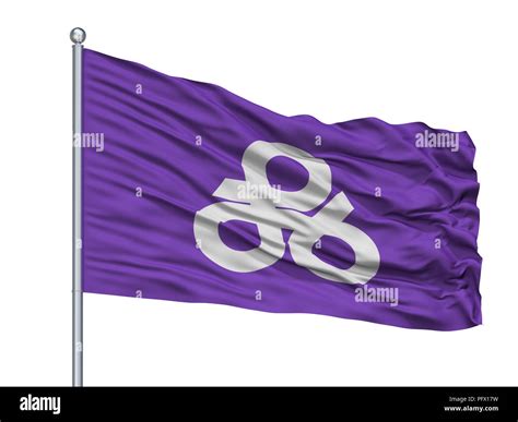 Okinawa City Flag On Flagpole, Japan, Okinawa Prefecture, Isolated On ...