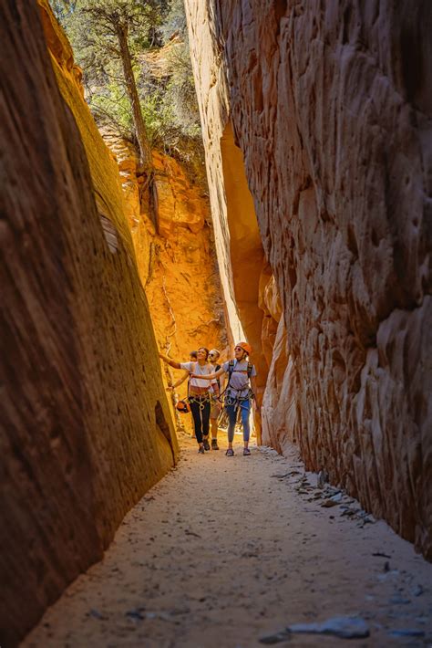 East Zion Adventures: Zion National Park Guided Tours