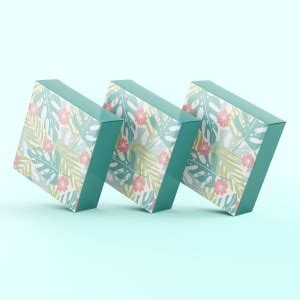 Niki Enterprises Auto-Lock Bottom Mono Carton Cardboard Gift Packing ...