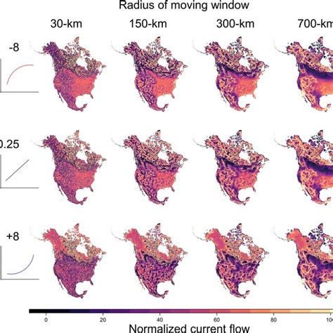 Current Map Diagram 的图像结果