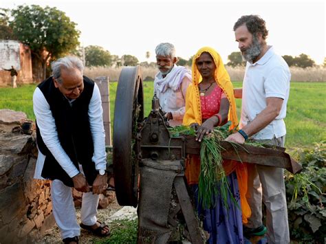 Bharat Jodo Yatra: Rahul Gandhi tries his hands at cutting fodder in ...