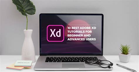 Tutoriel Adobe XD 的图像结果