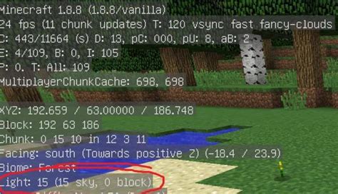 Minecraft Java F3 Texture 的图像结果