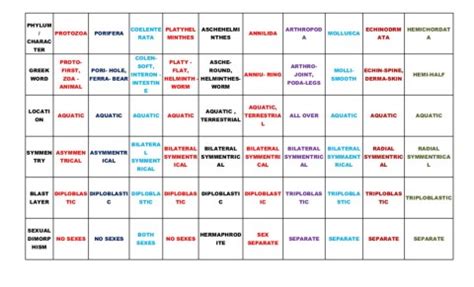 Image result for Classification System Chart