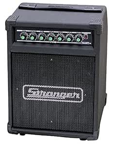 Stranger PM40 (Guitar & Auxiliary) Musical Amplifier | 1Pc : Amazon.in ...