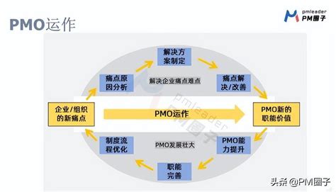 一图详解PMO项目管理流程规范及工作明细-CSDN博客