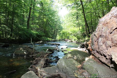 Black River at Hacklebarney State Park – New Jersey is the Best
