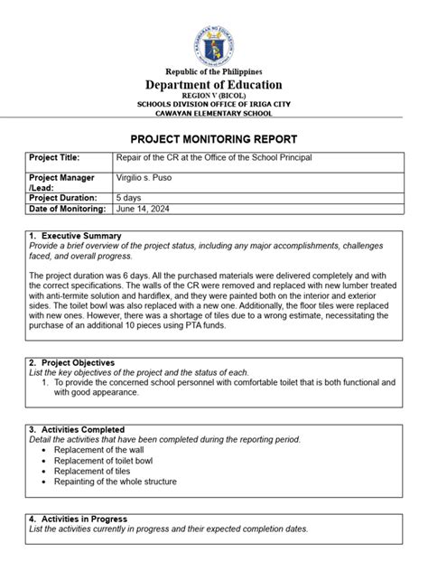 Example for Project Monitoring and Reporting 的图像结果