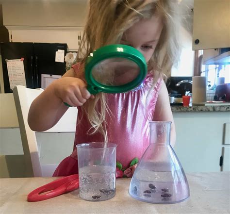 9th Science Experiments 的图像结果