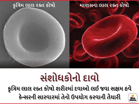 વૈજ્ઞાનિકોએ કૃત્રિમ લાલ રક્તકણો વિકસિત કર્યા, દાવો- તે હ્યુમન RBC કરતાં ...
