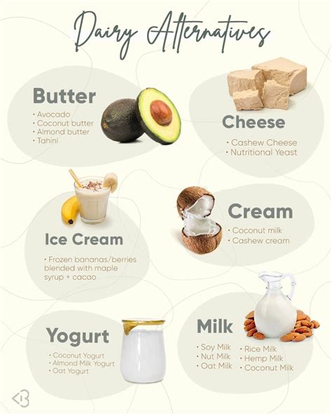 Your Guide to Dairy Alternatives: Healthy Milk Substitutes