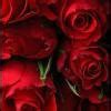 write true or falsea Rusting of iron takes place in the presence of air ...