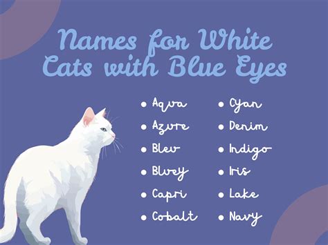 175+ Best Names for White Cats: Cute, Unique & Adorable