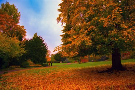 Oil Painting Autumn Tree Free Stock Photo - Public Domain Pictures