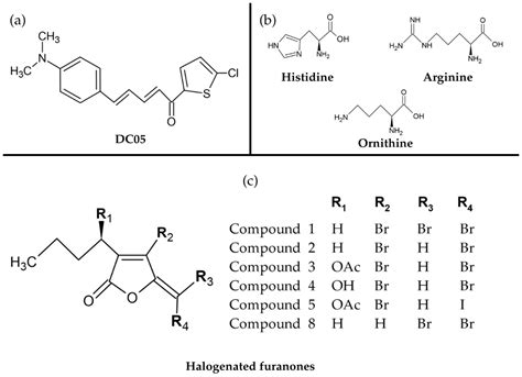 Combating Antimicrobial Resistance: Innovative Strategies Using ...