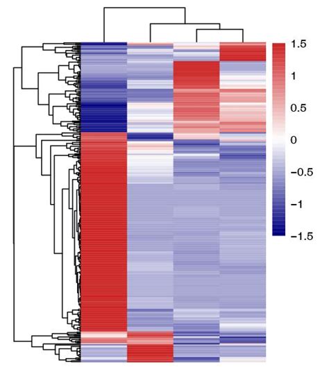 Image result for GraphPad Heatmap