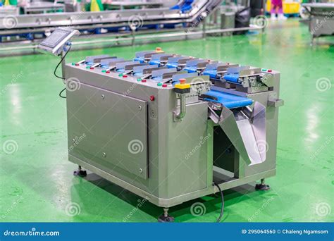 Weighing Scale for Weighing Chicken Meat To Equal Weight Stock Photo ...