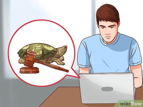 Image result for How to Catch Turtles