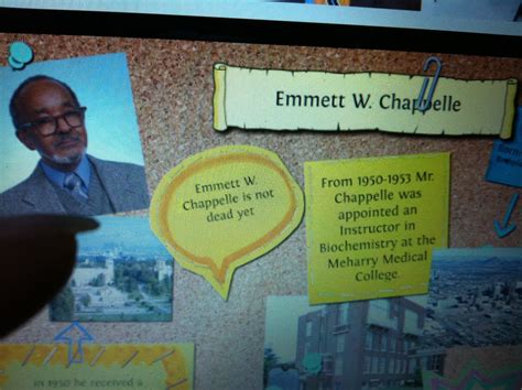 THE BLACK SOCIAL HISTORY:: BLACK SOCIAL HISTORY - AFRICAN AMERICAN ...