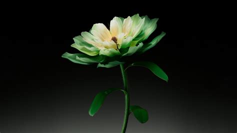 Dark Green Flower