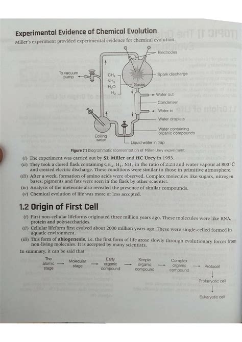 Image result for Evolution Class 12 Chap Animation