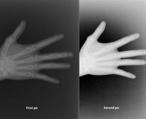 Image result for Emgu CV Projects