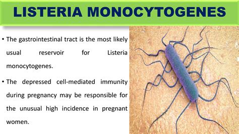 MATERNAL INFECTION DURING PREGNANCY | PPTX