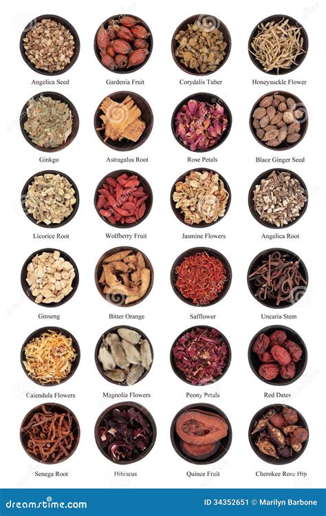 Traditional Chinese Herbal Medicine Stock Image - Image of medicine ...