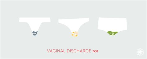 Normal Vaginal Discharge 的图像结果