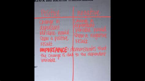 Image result for Positive Control vs Negative Control Examples