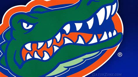 Download University Of Florida Gators Close-Up Wallpaper | Wallpapers.com