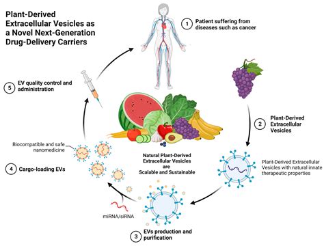 Extracellular Vesicles