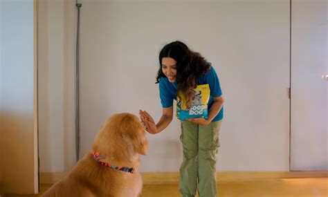 Dog Food Transition Guide: Safe Switching Tips | Good Dog