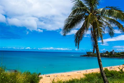 What To Do In The North Shore Oahu at Savannah Holroyd blog