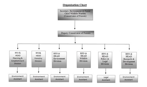 Organization Chart