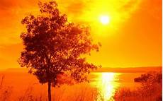 Orange Wallpaper Landscape by Landscape Sun Trees Lake Orange Water Wallpapers Hd Orange Wallpaper Landscape
