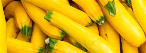 Squash 的图像结果