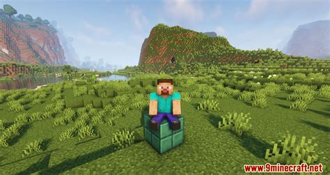 Image result for Minecraft Sitting Animations Mod