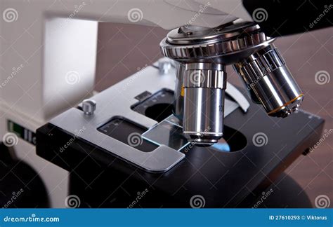 Polarizing Light Microscope 的图像结果