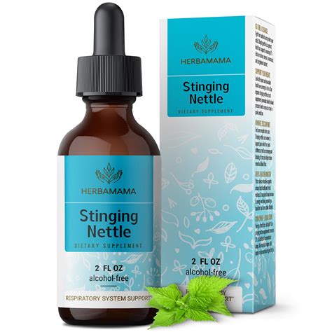 Mua HERBAMAMA Stinging Nettle Tincture - Stinging Nettle Root Extract for Urinary Tract Health ... - stinging of urine