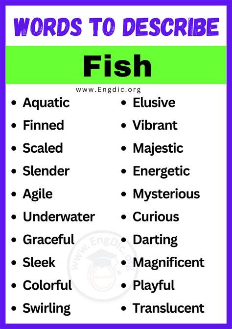 20+ Best Words to Describe Fish, Adjectives for Fish - EngDic