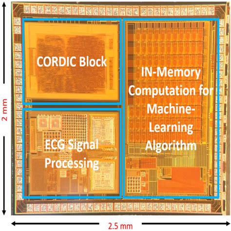 Bishnu Prasad Das IITR