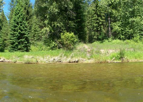 Lake Creek Campground Camping | The Dyrt