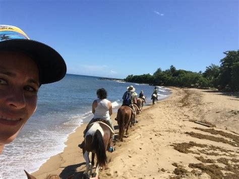 Horseback Rides by Pintos R Us (Rincon) - 2021 What to Know Before You ...