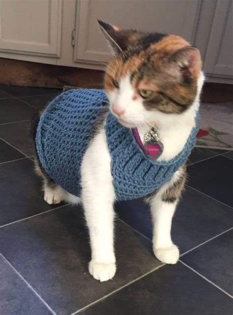 crochet cat clothes