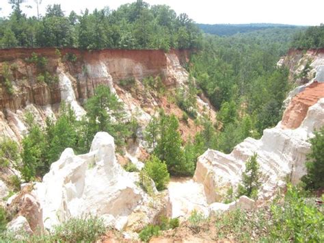 Plains Tourism (2024): All You Need to Know Before You Go