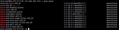 Image result for Nginx Amazon Linux 2