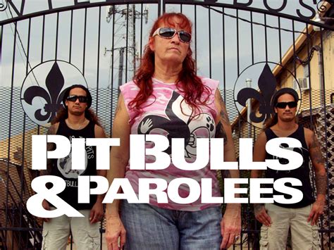 Prime Video: Pit Bulls & Parolees, Season 14